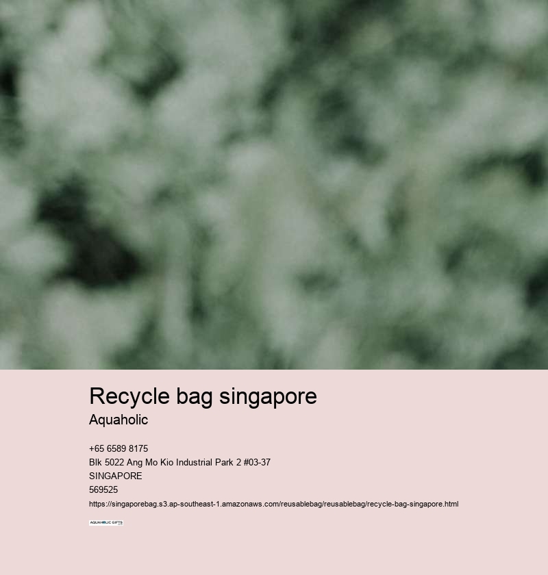 recycle bag singapore